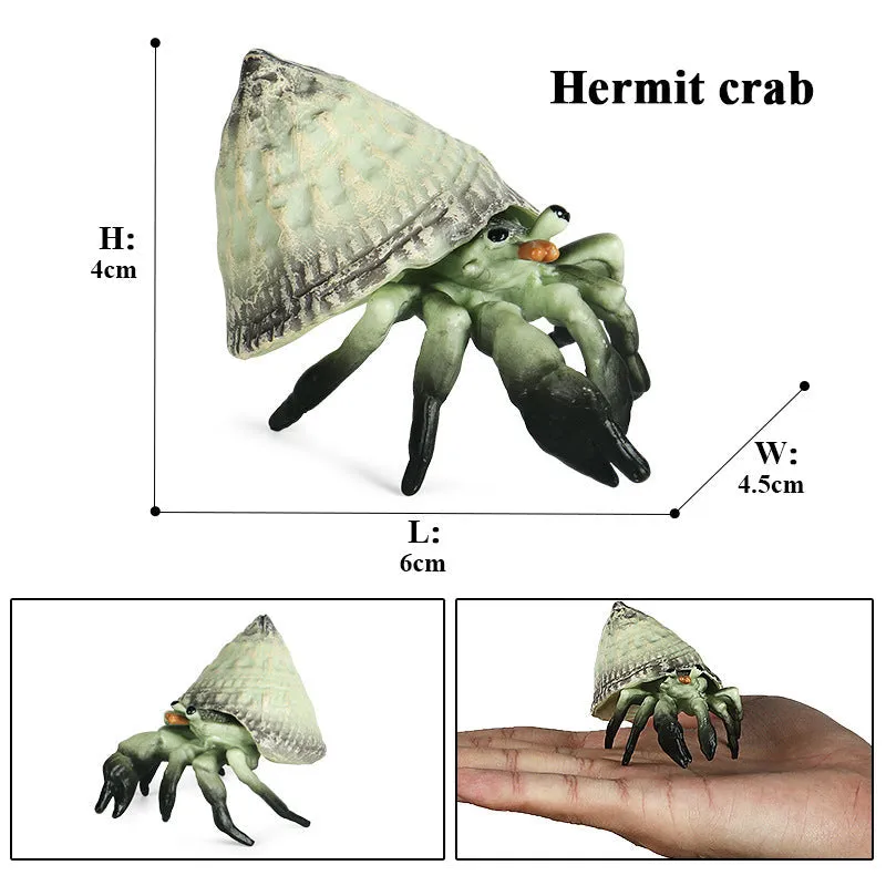 Hermit Crab Simulation Marine Animal Crab Submarine Creature Model Children's Educational Learning Toy Fish Tank Decoration