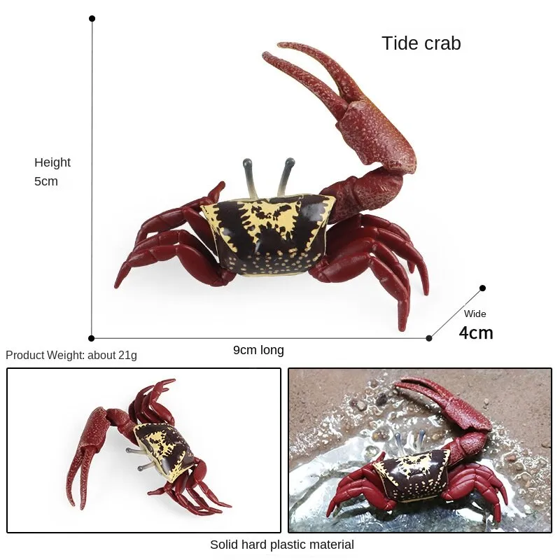 Hermit Crab Simulation Marine Animal Crab Submarine Creature Model Children's Educational Learning Toy Fish Tank Decoration