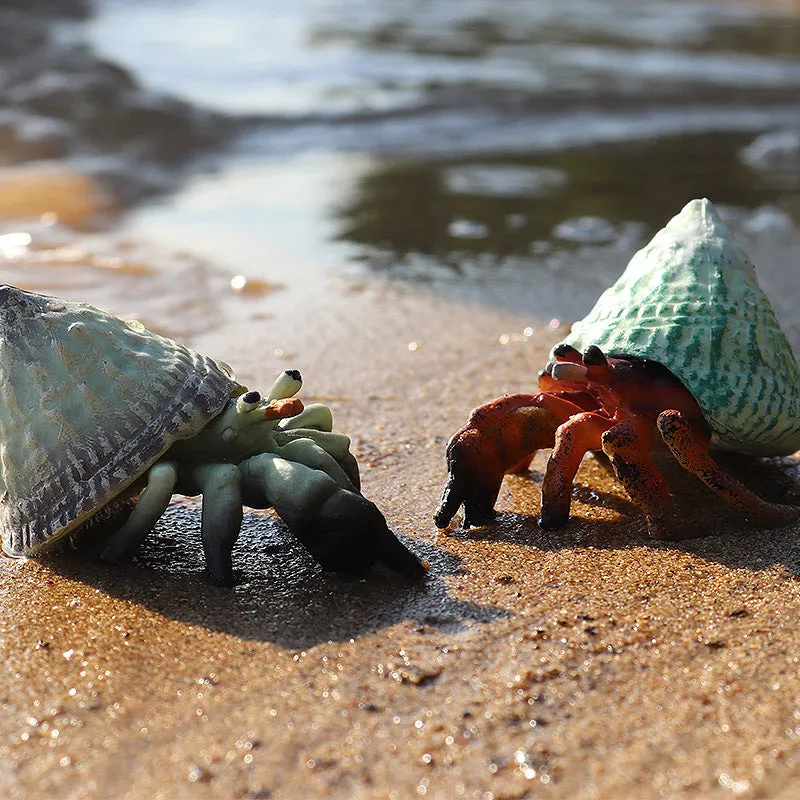 Hermit Crab Simulation Marine Animal Crab Submarine Creature Model Children's Educational Learning Toy Fish Tank Decoration