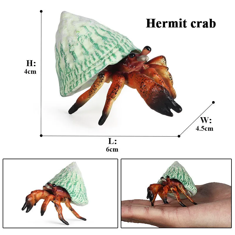 Hermit Crab Simulation Marine Animal Crab Submarine Creature Model Children's Educational Learning Toy Fish Tank Decoration